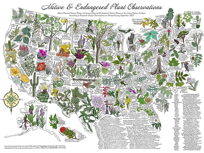  from Steady Hand Maps
